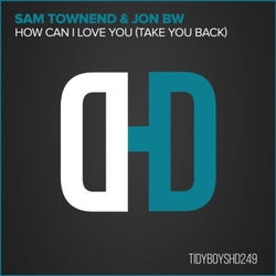 How Can I Love You (Take You Back)