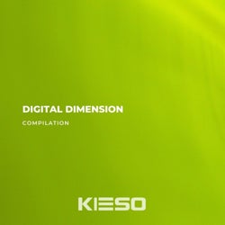 Digital Dimension