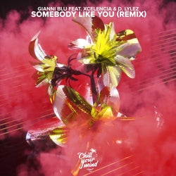 Somebody Like You (feat. D. Lylez) [Xcelencia Remix]