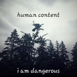 I Am Dangerous