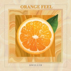 Orange Feel