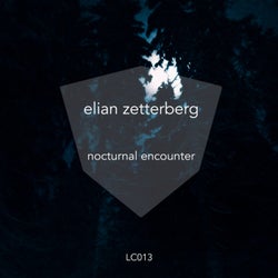 Nocturnal Encounter