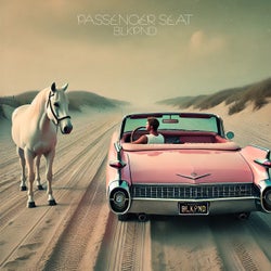 PASSENGER SEAT