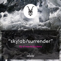 Skylab / Surrender