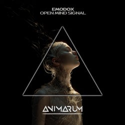 Open Mind Signal