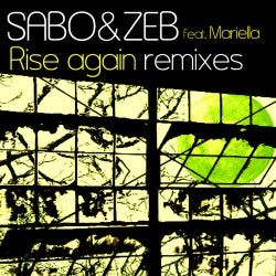 Rise Again Remixes			