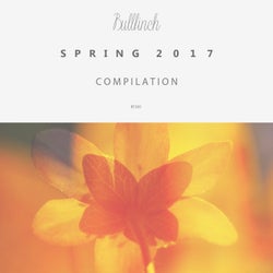 Bullfinch Spring Compilation 2017