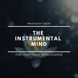 The Instrumental Mind - Meditation Tracks For High Fluid Intelligence