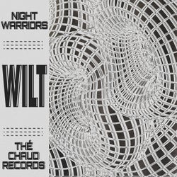 Night Warriors (Part 2)