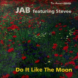 Do It Like The Moon