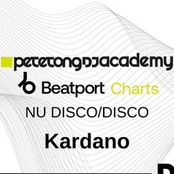Pete Tong DJ Academy Nu Disco/Disco