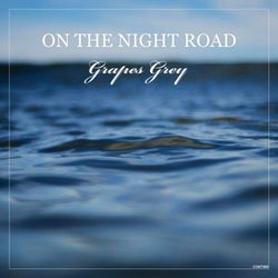 On the Night Road