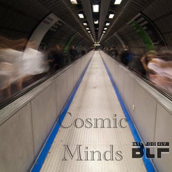 Cosmic Minds