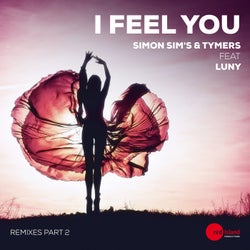 I Feel You(Remixes, Pt. 2)