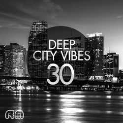 Deep City Vibes Vol. 30