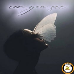 Can You See