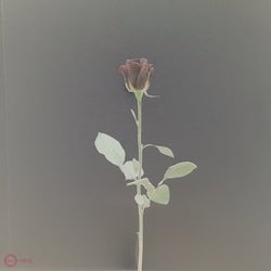 Isolation (Remixes)