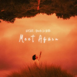 Meet Again
