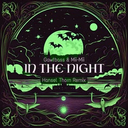 In The Night (Hansel Thorn Remix)