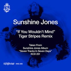 If You Wouldn't Mind (Tiger Stripes Remixes)