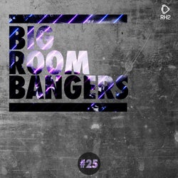 Big Room Bangers Vol. 25