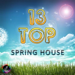 Top 13 Spring House