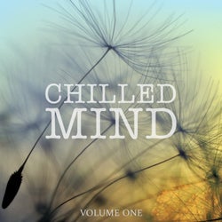 Chilled Mind, Vol. 1 (Selection Of Awesome Ambient Music)