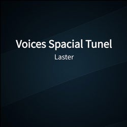 Voices Spacial Tunel