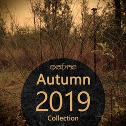 Autumn 2019 Collection