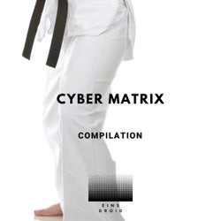 Cyber Matrix