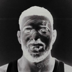 Ich falle in Frieden (Deluxe)