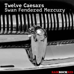 Swan Fendered Mercury