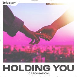 Holding You - Pro Mix