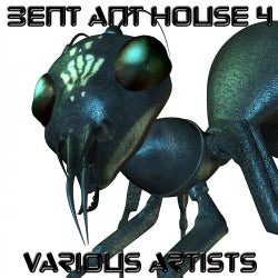 Bent Ant House 4