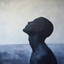 Veluna