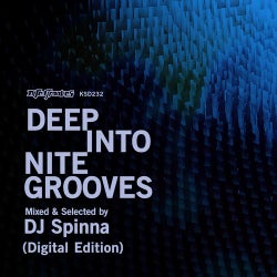 Deep Into Nite Grooves: Mixed & Selected By DJ Spinna (Digital Edition)