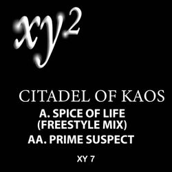 Spice of Life / Prime Suspect