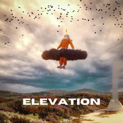 Elevation