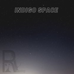 Indigo Space
