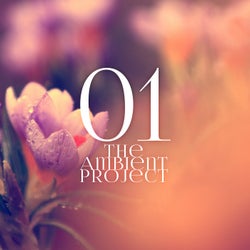 The Ambient Project, Vol. 1