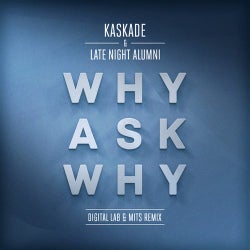 Why Ask Why - Digital LAB & MITS Remix