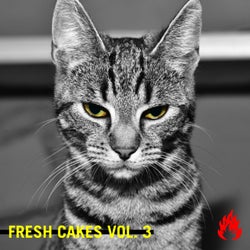Fresh Cakes Vol. 3