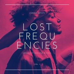 Lost Frequencies (Groovy House Kicks), Vol. 1