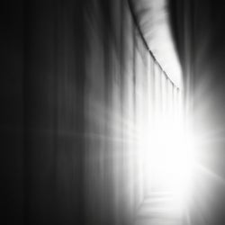 I See the Light