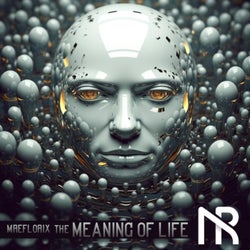 The Meaning of Life