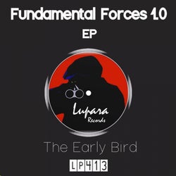 Fundamental Forces 1.0