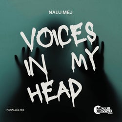 Voices in My Head