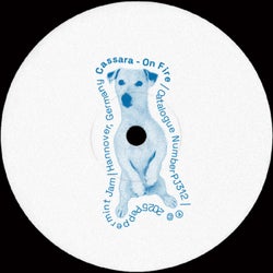 On Fire (Extended Mix)
