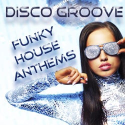 Disco Groove: Funky House Anthems - Mixed By Love Assassins