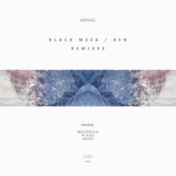 Black Mesa / Xen Remixes